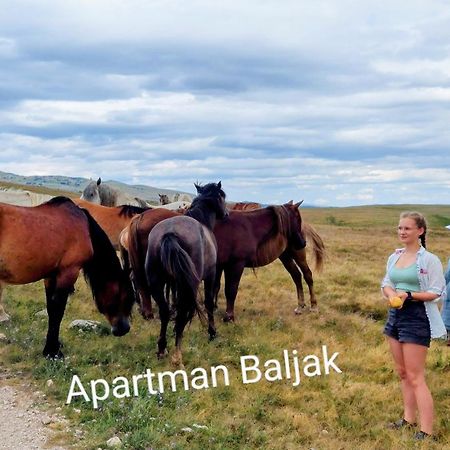 Apartman Baljak Livno Esterno foto