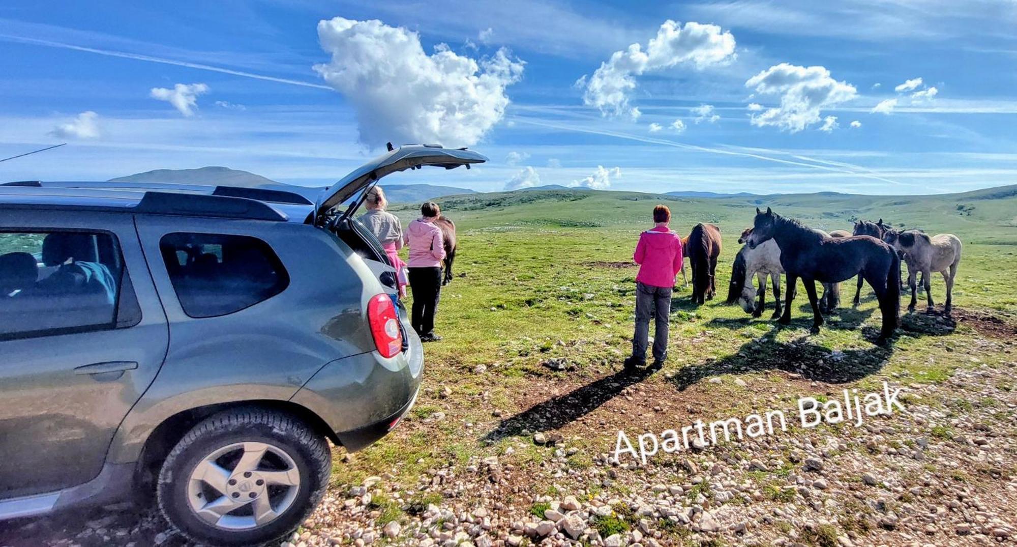 Apartman Baljak Livno Esterno foto