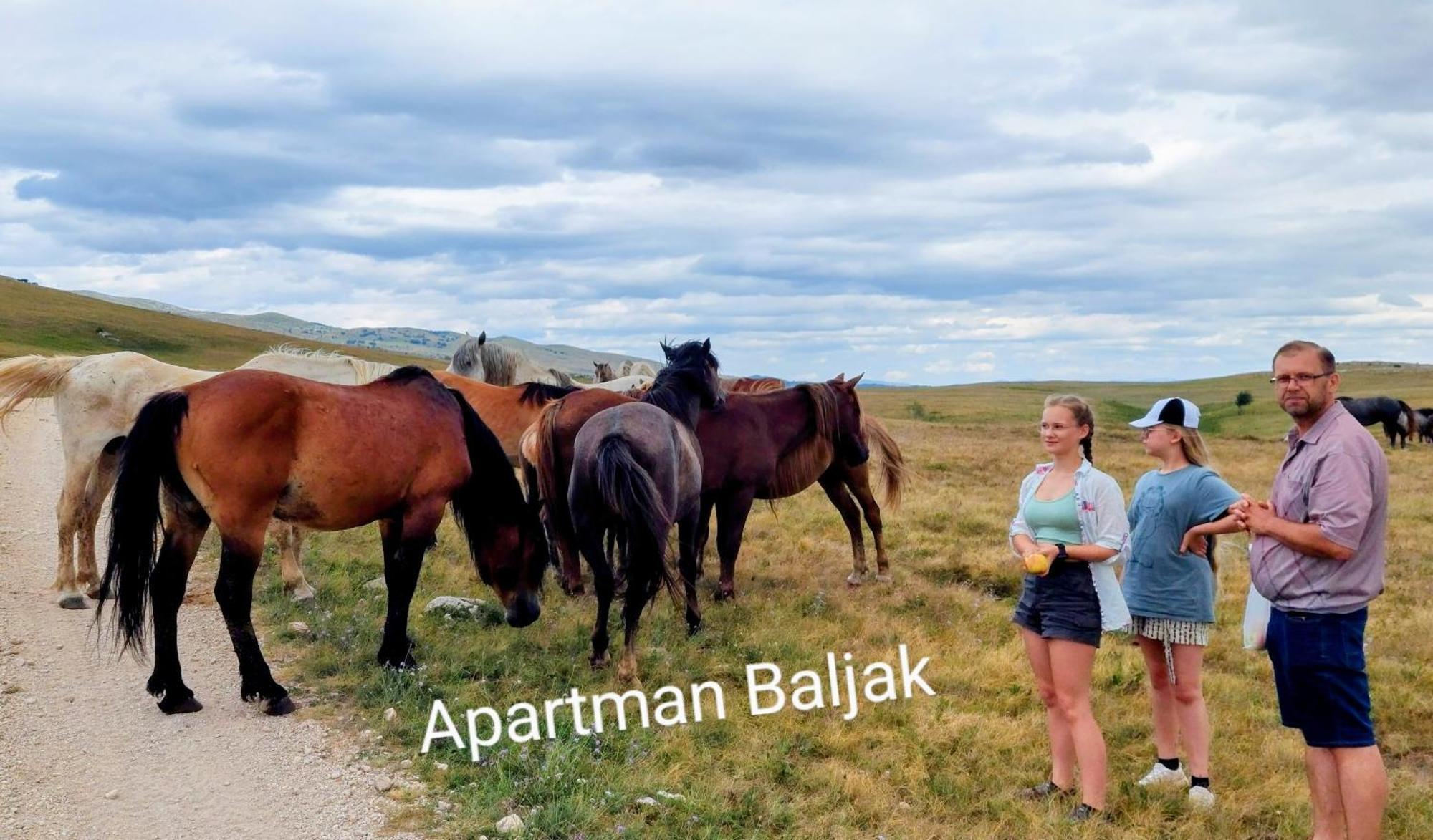 Apartman Baljak Livno Esterno foto